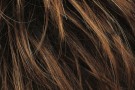 Hazelnut Rooted thumbnail