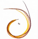 Fine Feathers Wedding Bell  thumbnail