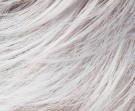 Silver Rooted thumbnail