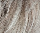 Pearl Rooted thumbnail
