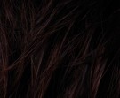 Darkchocolate Mix  thumbnail