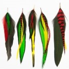 Drops Fine Feathers Rasta thumbnail