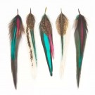 Drops Fine Feathers Native thumbnail