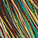 Fine Feathers Native  thumbnail