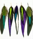 Drops Fine Feathers Techno thumbnail