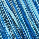 Fine Feathers Ocean Blue thumbnail