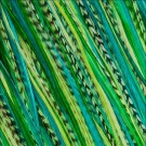 Fine Feathers Emerald Green thumbnail