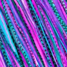 Fine Feathers Summer Berry  thumbnail