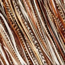 Fine Feathers Natural  thumbnail