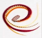 Fine Feathers Autumn  thumbnail
