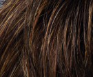Mocca Rooted thumbnail