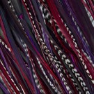 Fine Feathers Twilight thumbnail