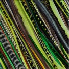 Fine Feathers Winter Green thumbnail