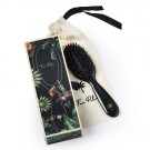 Fan Palm Stardust Small thumbnail