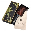  Fan Palm Paddle Big Star thumbnail