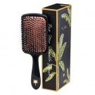  Fan Palm Paddle Big Star thumbnail