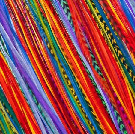 Fine Feathers Brazilian Carnival