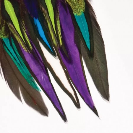 Drops Fine Feathers Techno