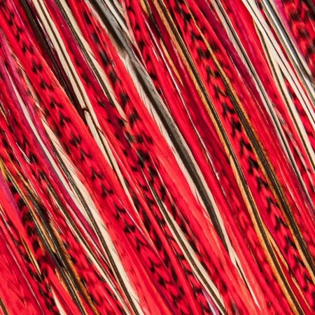 Fine Feathers Poppy Red