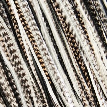 Fine Feathers Black Tie