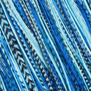 Fine Feathers Ocean Blue