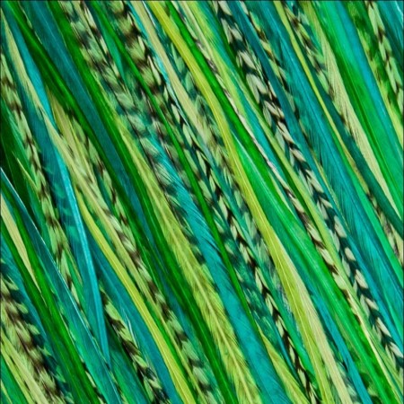 Fine Feathers Emerald Green