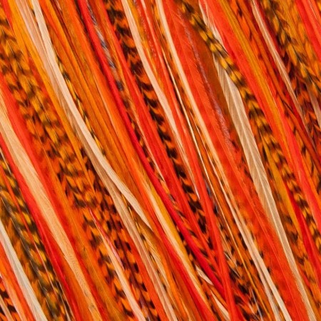 Fine Feathers Tangerine Orange