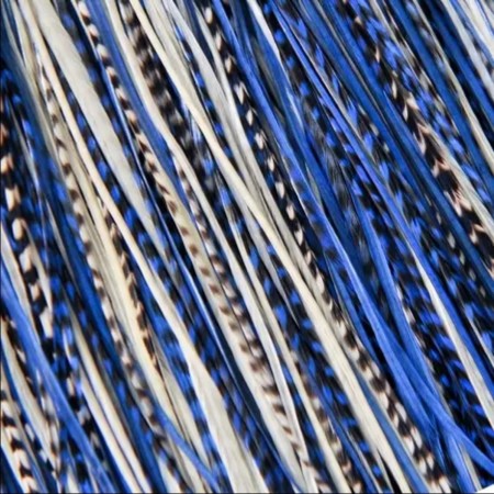 Fine Feathers Sapphire Blue