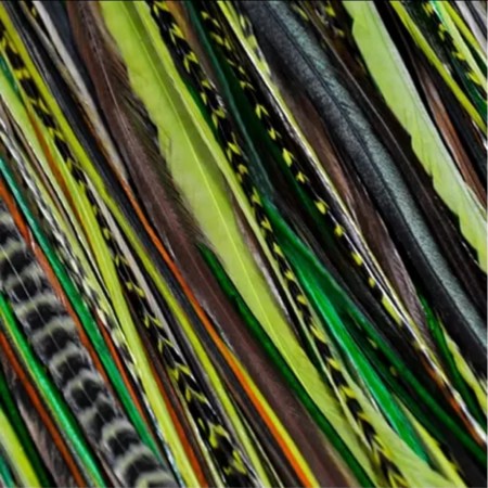 Fine Feathers Winter Green